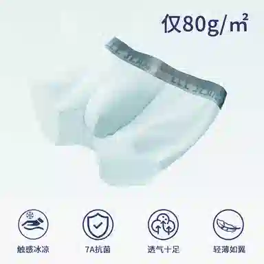 Lee 4