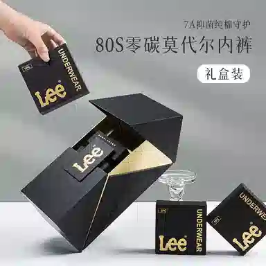 Lee 5