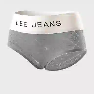 Lee 4