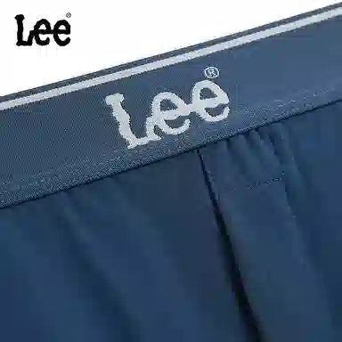 Lee LOGO 3
