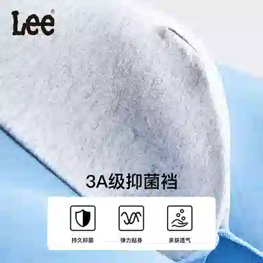Lee 3