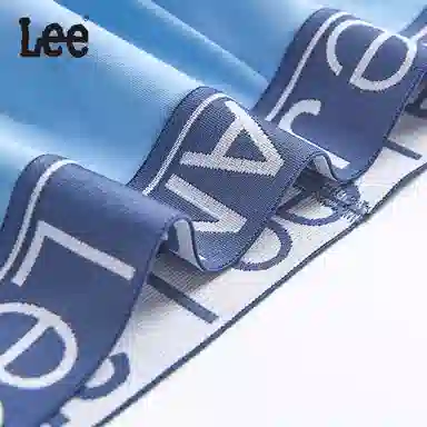 Lee 3