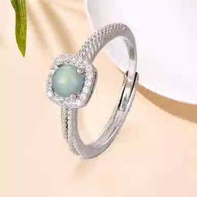 ins S925