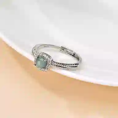 ins S925