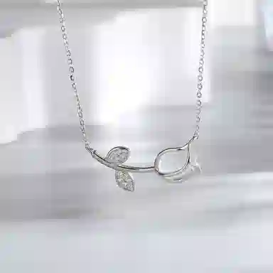 ins