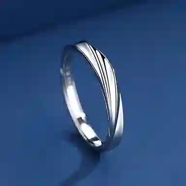 ins S925