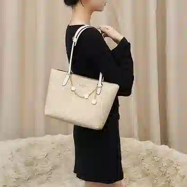 Coach Fiona 24 Tote Bag Insert