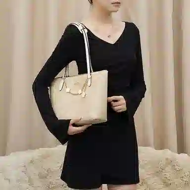 Coach Fiona 24 Tote Bag Insert