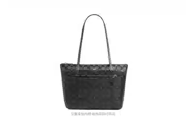Coach Fiona 24 Tote Bag Insert
