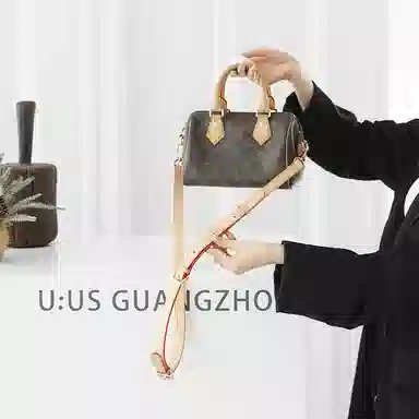LOUIS VUITTON Speedy 20