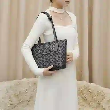 Coach Fiona 24 Tote Bag Insert