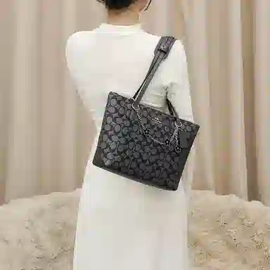 Coach Fiona 24 Tote Bag Insert