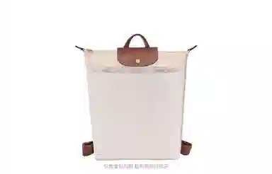 LONGCHAMP Le Pliage Original26 DIY