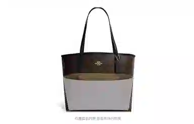 COACHctiy3330Tote