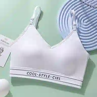 欧迪芬 轻便凉感运动大胸显小收副乳防下垂上托无钢圈果冻条轻盈舒适聚拢简约纯色无痕自然防震稳固文胸 女款