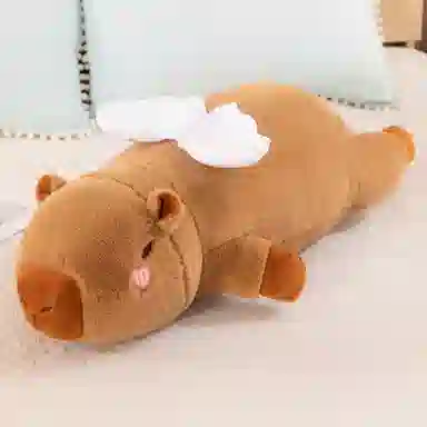 60cm80cm100cm