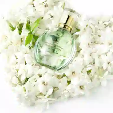 EDT