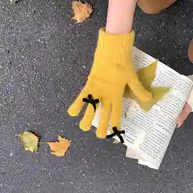 浪莎 秋冬新品五指纯色保暖针织手套女士蝴蝶结学生可触屏防寒毛线手套 腈纶 绒线手套 女款