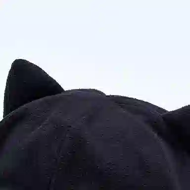 浪莎 二次元卡通动漫猫耳朵宅系大头围显脸小百搭萌系 棉 鸭舌帽 女款