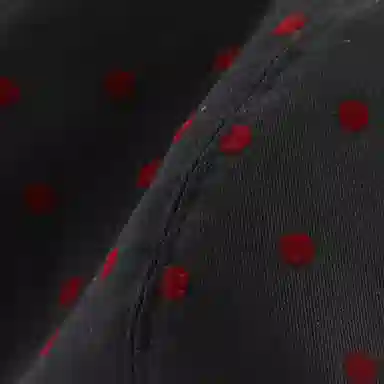 浪莎 法式文艺复古波点花纹简约蓓蕾帽百搭早春日系甜美可爱云朵帽 聚酯纤维 贝雷帽 女款