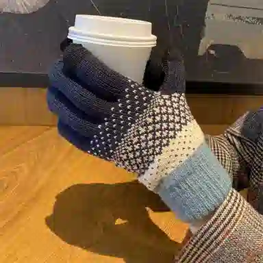 浪莎 触屏手套男女情侣款冬季加绒加厚保暖毛线针织学生五指可爱骑行分指护手套 锦纶 绒线手套 男女同款情侣款