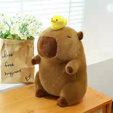23cm30cm40cm50cm