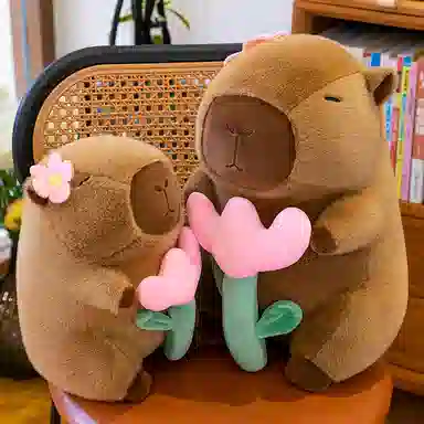 23cm30cm40cm50cm