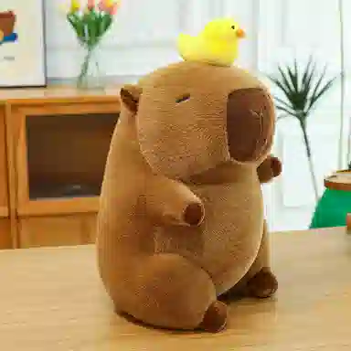 23cm30cm40cm50cm