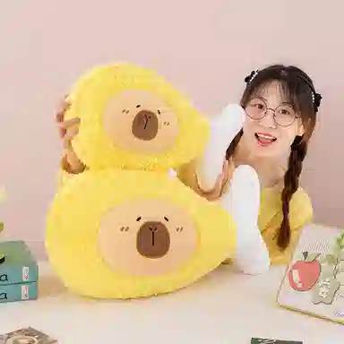 45cm60cm