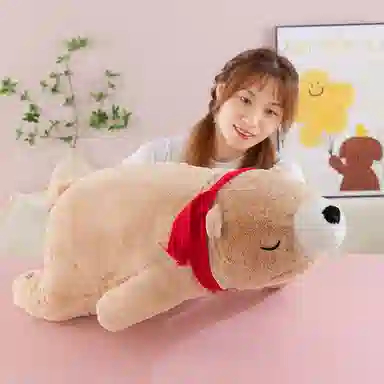 40cm60cm80cm100cm
