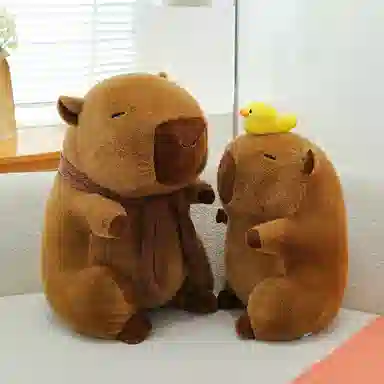 23cm30cm40cm50cm