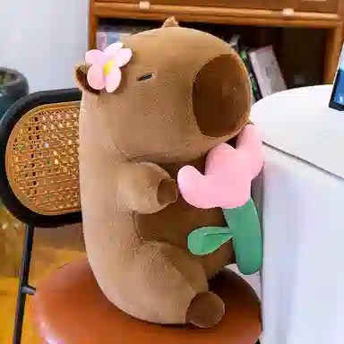 23cm30cm40cm50cm