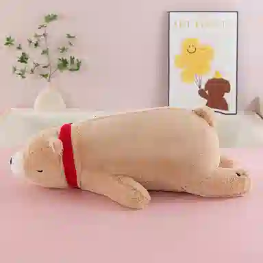 40cm60cm80cm100cm