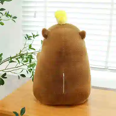 23cm30cm40cm50cm