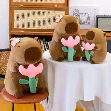 23cm30cm40cm50cm