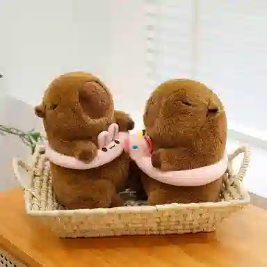 23cm30cm40cm50cm