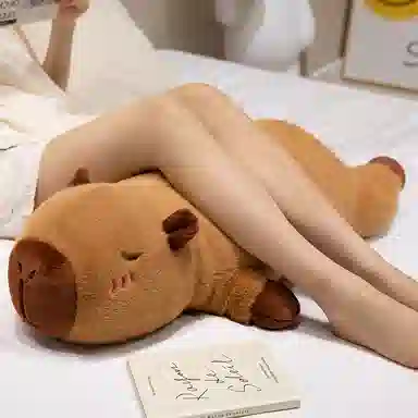 60cm80cm100cm