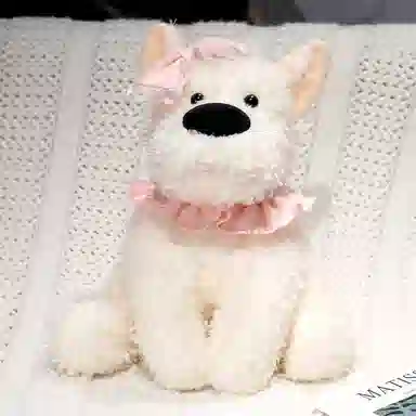 30cm35cm