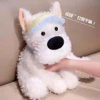 30cm35cm