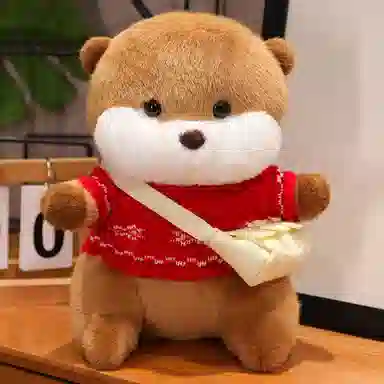 25cm