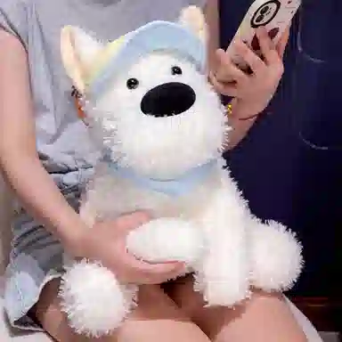 30cm35cm
