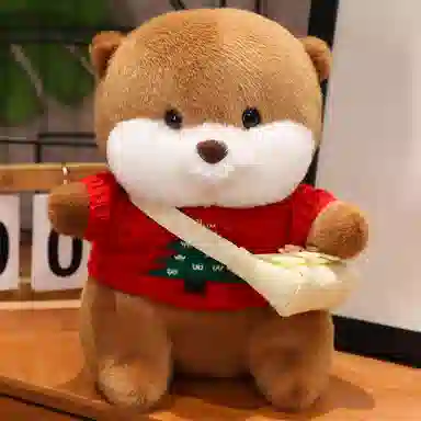 25cm