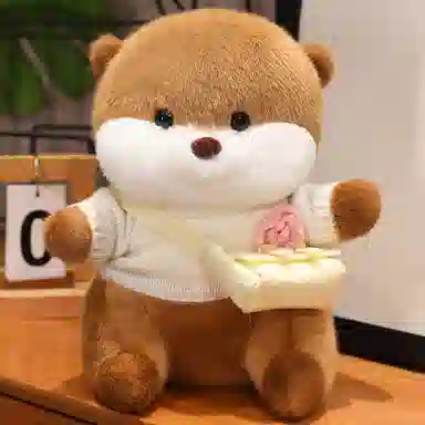 25cm