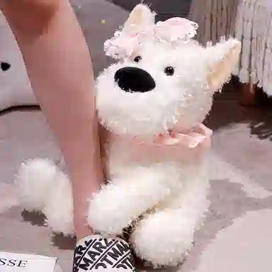 30cm35cm