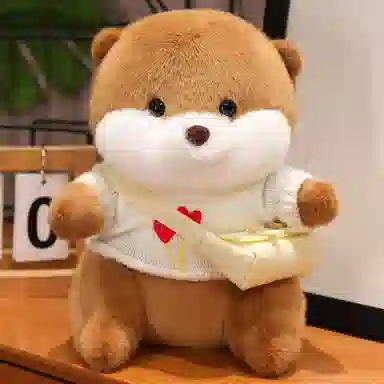 25cm