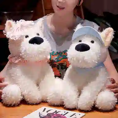 30cm35cm