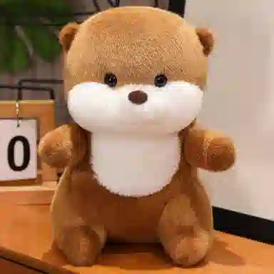 25cm