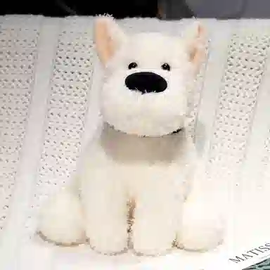 30cm35cm