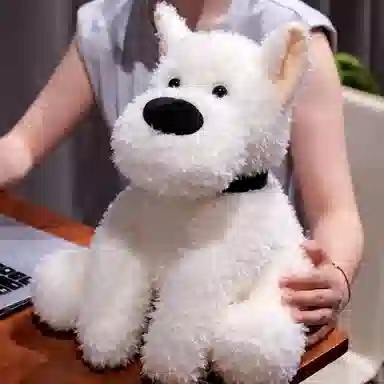 30cm35cm