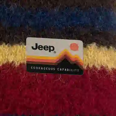 Jeep ins